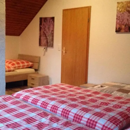 Grosses Modernes Mit Garten Und Terrasse *